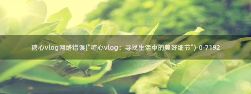 糖心vlog入口官网