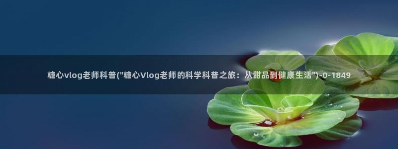 糖心vlog不惊醒在线