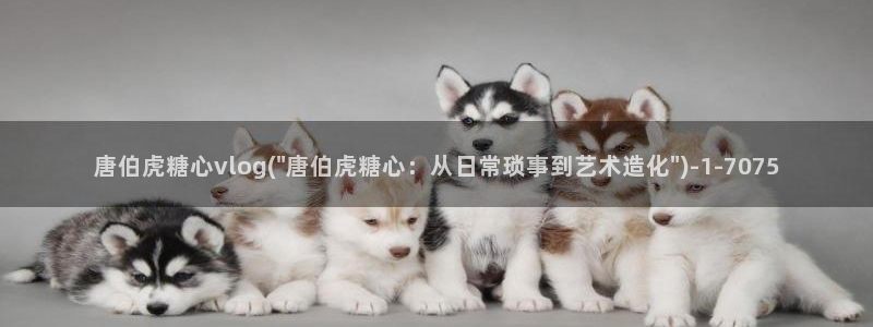 糖心vlog原神资源：唐伯虎糖心vlog(\